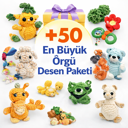 +50 Örgü Desen Kitabı